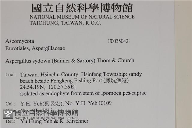 登錄號:F0035042藏品圖，第2張