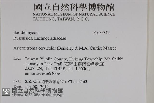 登錄號:F0035342藏品圖，第2張