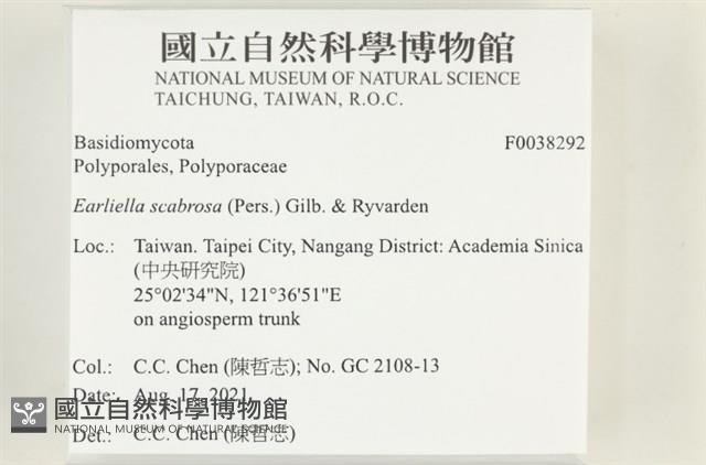 登錄號:F0038292藏品圖，第2張