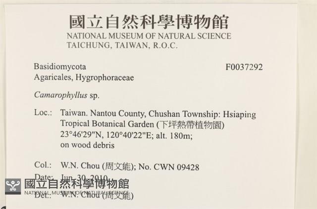 登錄號:F0037292藏品圖，第2張