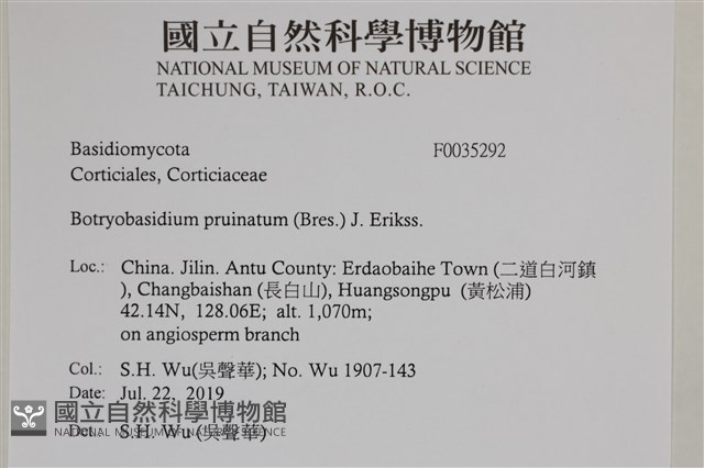 登錄號:F0035292藏品圖，第2張