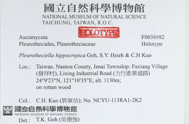登錄號:F0038892藏品圖，第2張
