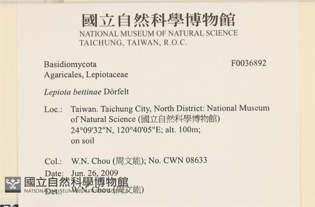 登錄號:F0036892藏品圖，第2張
