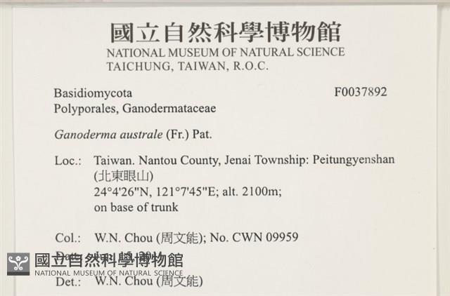 登錄號:F0037892藏品圖，第2張