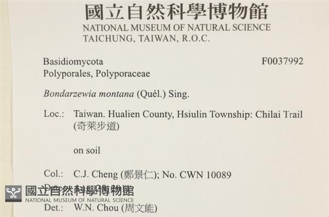 登錄號:F0037992藏品圖，第2張