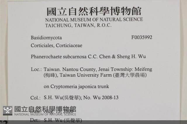 登錄號:F0035992藏品圖，第2張