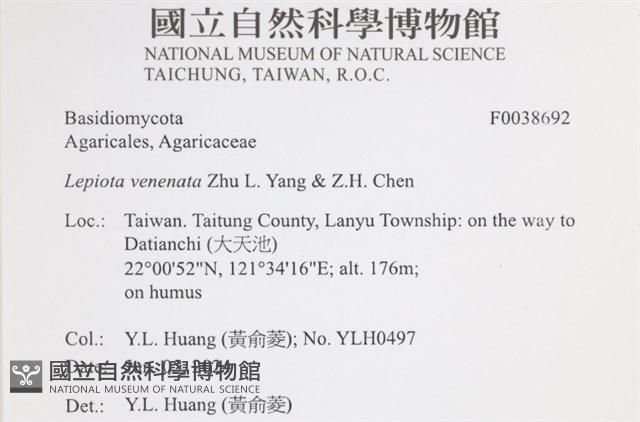 登錄號:F0038692藏品圖，第2張