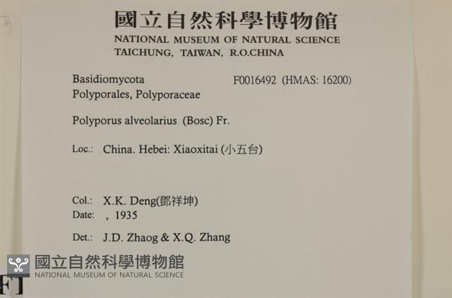 登錄號:F0016492藏品圖，第5張