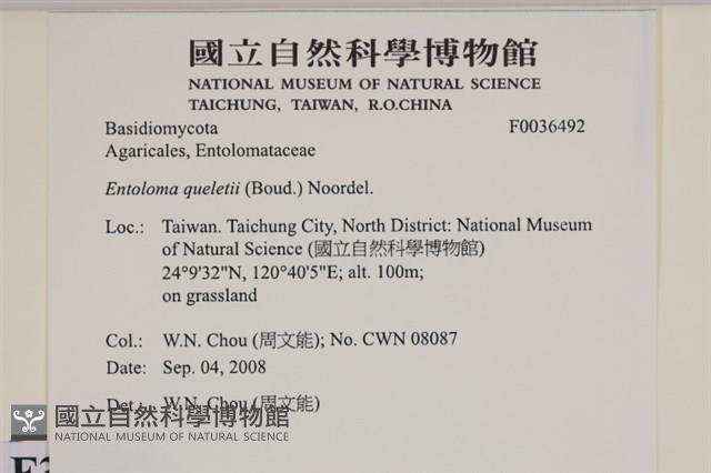 登錄號:F0036492藏品圖，第2張
