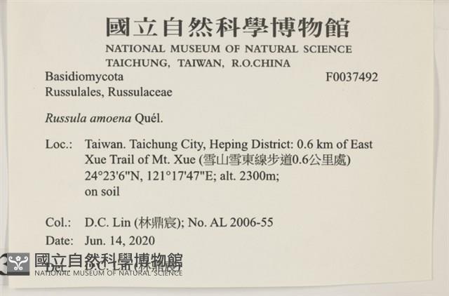 登錄號:F0037492藏品圖，第2張