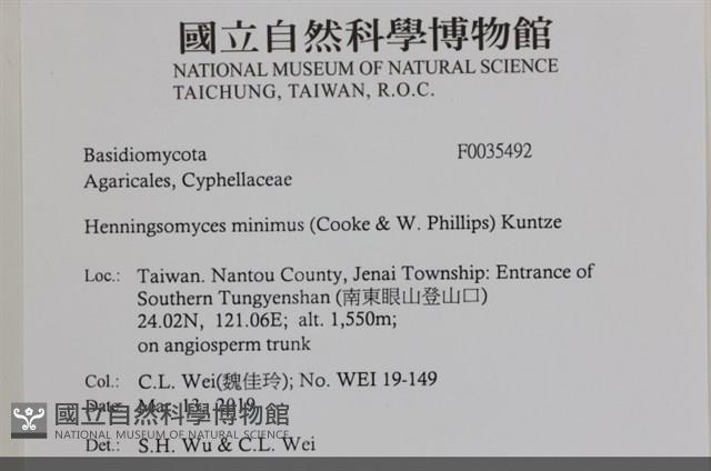登錄號:F0035492藏品圖，第2張
