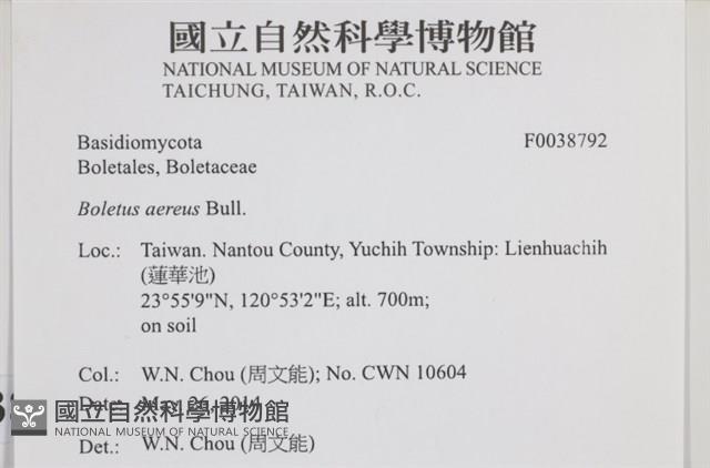 登錄號:F0038792藏品圖，第2張