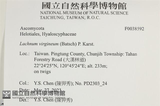 登錄號:F0038592藏品圖，第2張