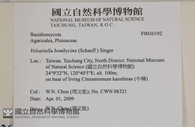 登錄號:F0036592藏品圖，第2張