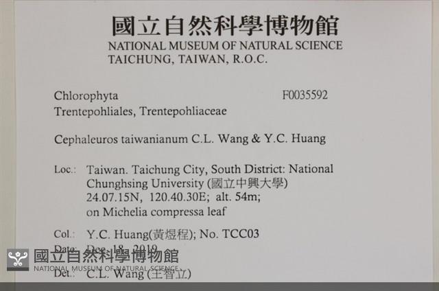 登錄號:F0035592藏品圖，第2張