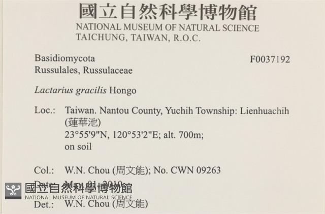 登錄號:F0037192藏品圖，第2張