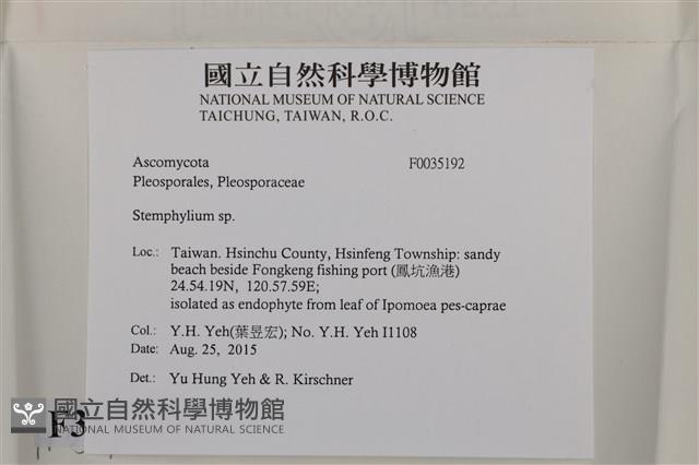 登錄號:F0035192藏品圖，第2張