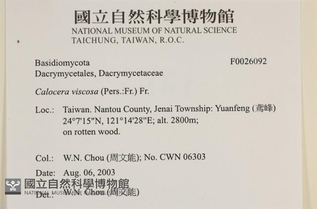 登錄號:F0026092藏品圖，第4張