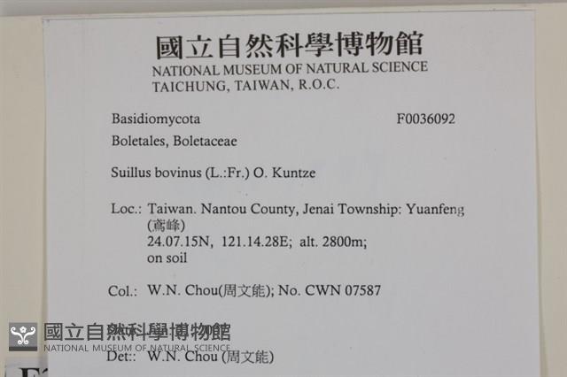 登錄號:F0036092藏品圖，第2張