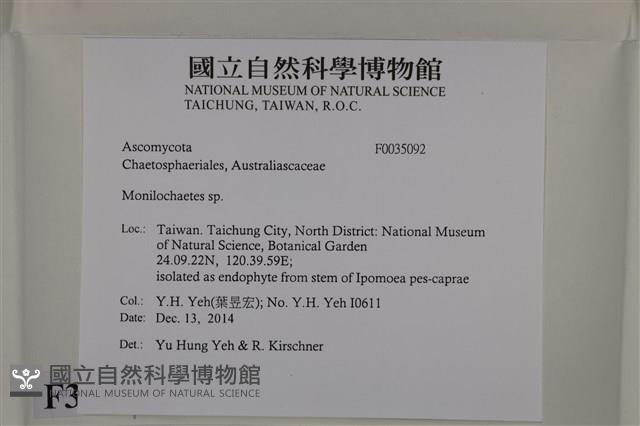登錄號:F0035092藏品圖，第2張