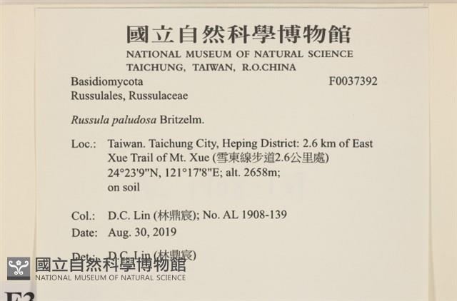 登錄號:F0037392藏品圖，第2張
