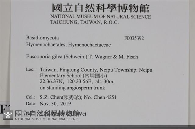 登錄號:F0035392藏品圖，第2張