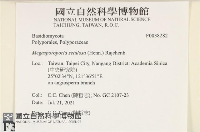 登錄號:F0038282藏品圖，第2張