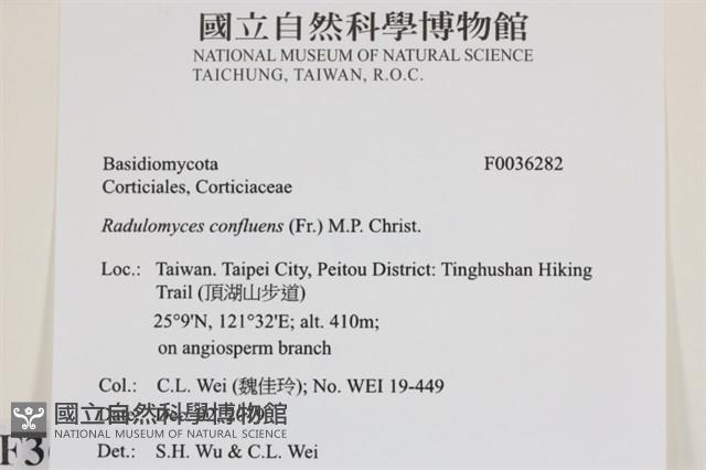 登錄號:F0036282藏品圖，第2張