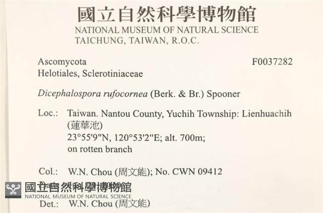 登錄號:F0037282藏品圖，第2張