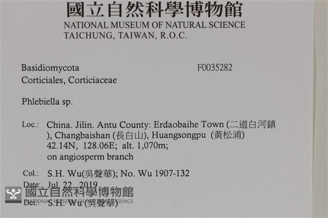 登錄號:F0035282藏品圖，第2張