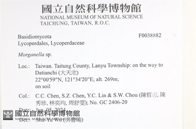 登錄號:F0038882藏品圖，第2張