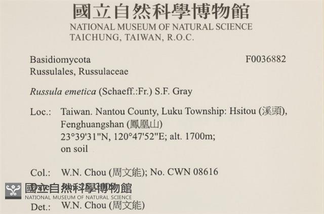 登錄號:F0036882藏品圖，第2張