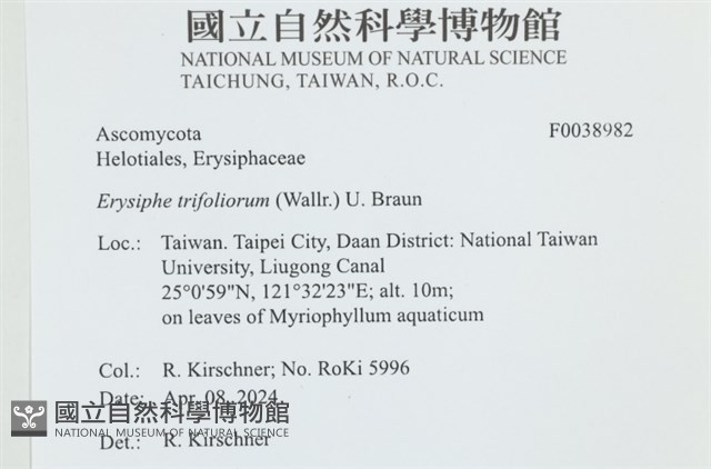 登錄號:F0038982藏品圖，第2張