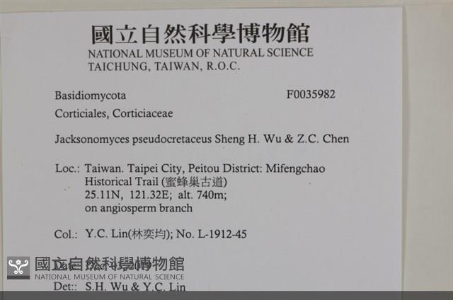 登錄號:F0035982藏品圖，第2張