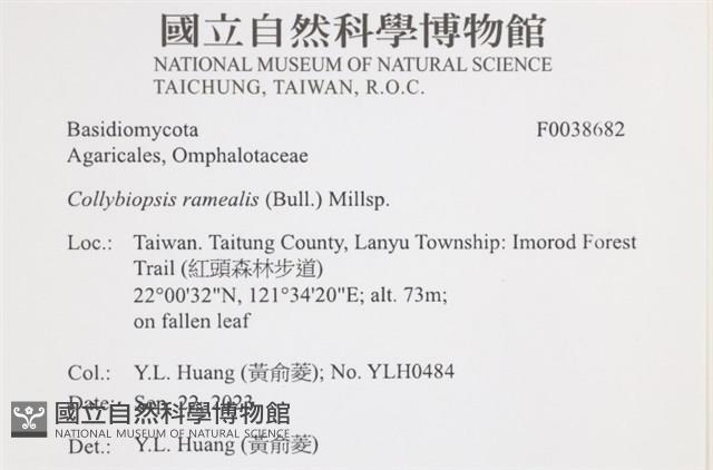 登錄號:F0038682藏品圖，第2張