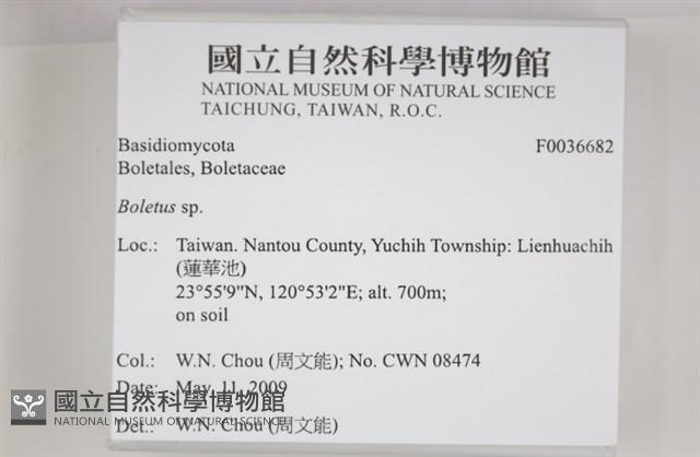 登錄號:F0036682藏品圖，第2張
