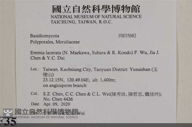登錄號:F0035682藏品圖，第2張