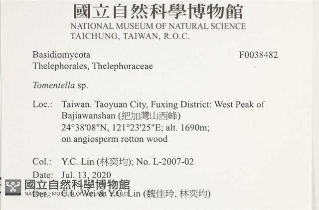 登錄號:F0038482藏品圖，第2張