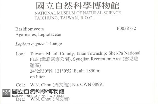 登錄號:F0038782藏品圖，第2張