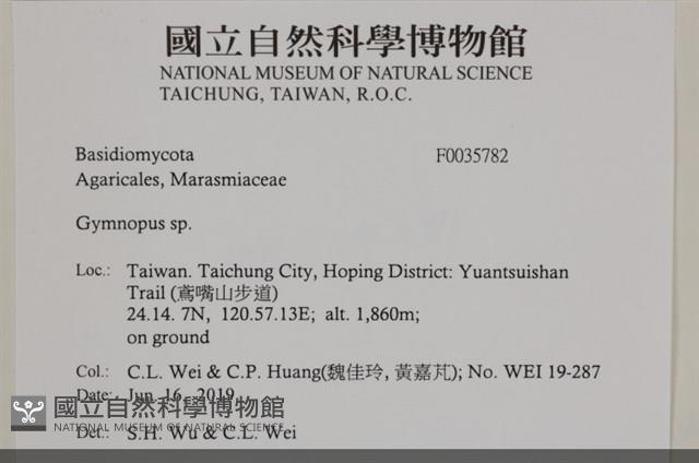 登錄號:F0035782藏品圖，第2張
