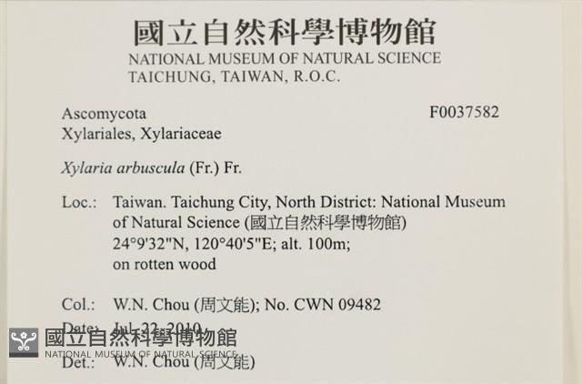登錄號:F0037582藏品圖，第2張