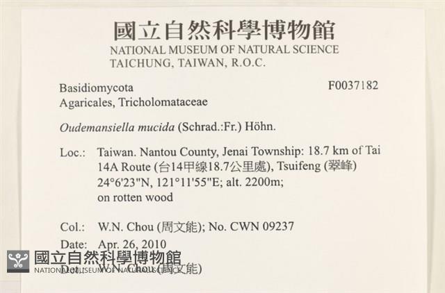 登錄號:F0037182藏品圖，第2張