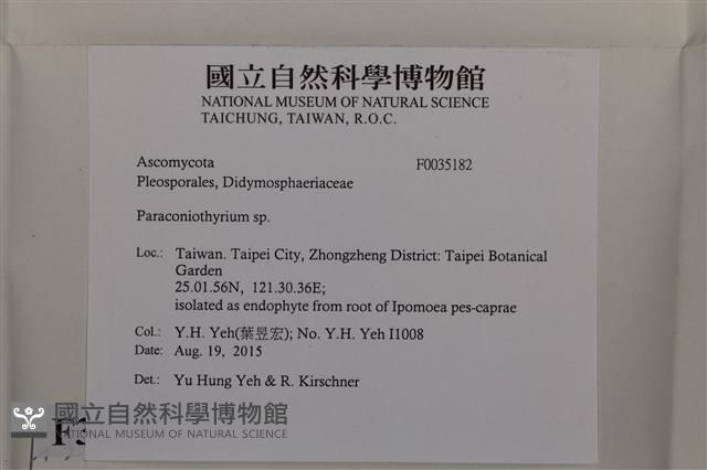 登錄號:F0035182藏品圖，第2張