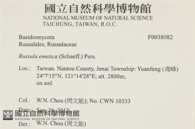 登錄號:F0038082藏品圖，第2張