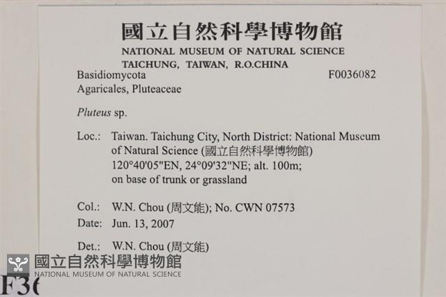 登錄號:F0036082藏品圖，第2張