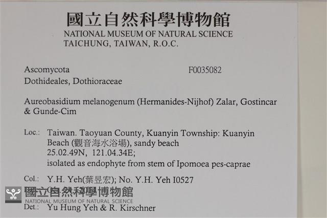 登錄號:F0035082藏品圖，第2張