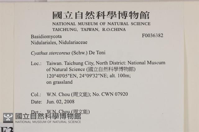 登錄號:F0036382藏品圖，第2張