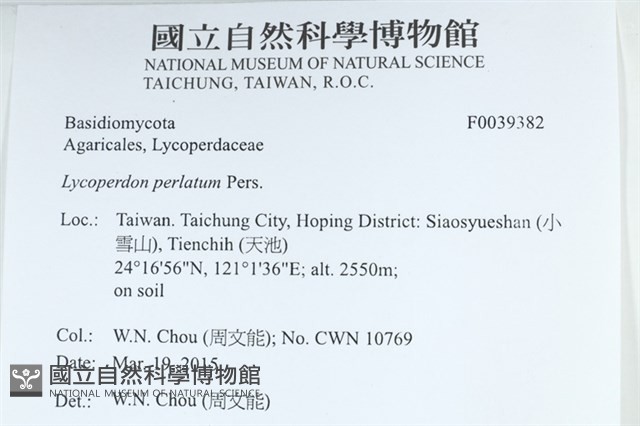 登錄號:F0039382藏品圖，第2張