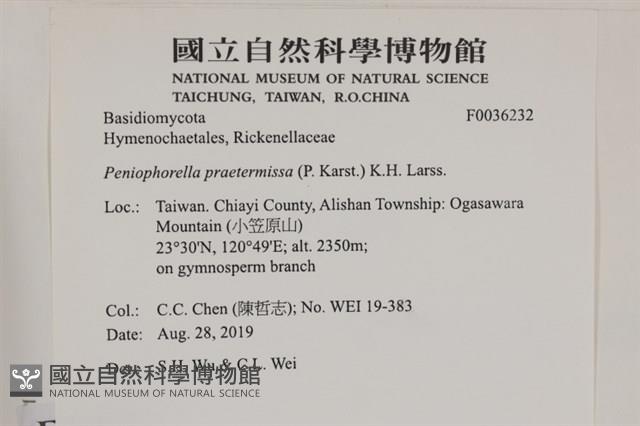 登錄號:F0036232藏品圖，第2張