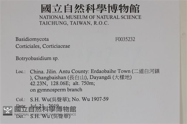 登錄號:F0035232藏品圖，第2張